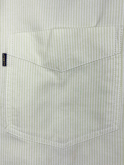 Men's Slim Fit Soft Green Striped Oxford TFO Shirt